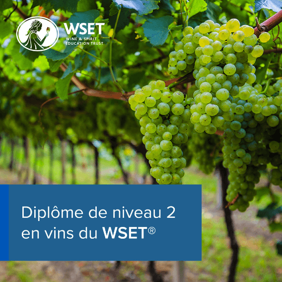 WSET Niveau 2 – Français