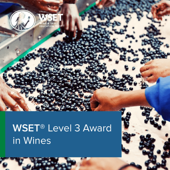 WSET Niveau 3 – Anglais