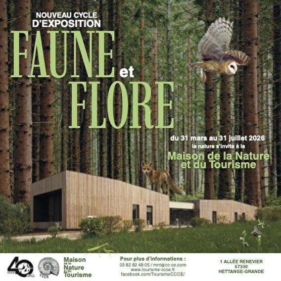 Faune et Flore cycle -  A fascinating journey into biodiversity