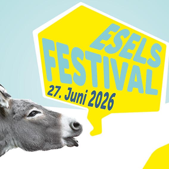 Donkey Festival in Diekirch