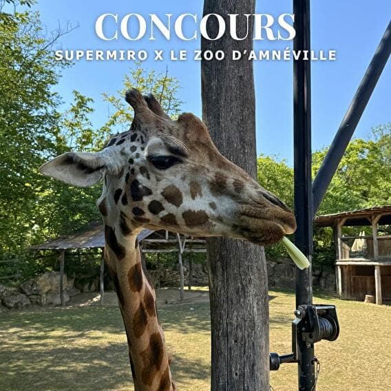 Supermiro x Amnéville Zoo Contest