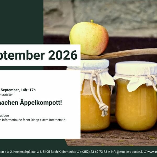 Nous faisons de la compote de pommes !