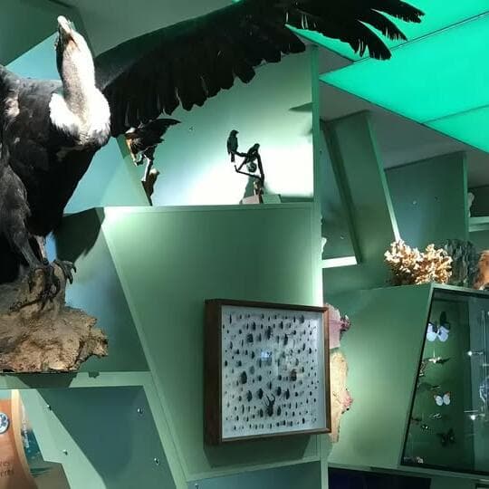 Guided tour of the permanent exhibition [LU | FR | ENGL | DE]