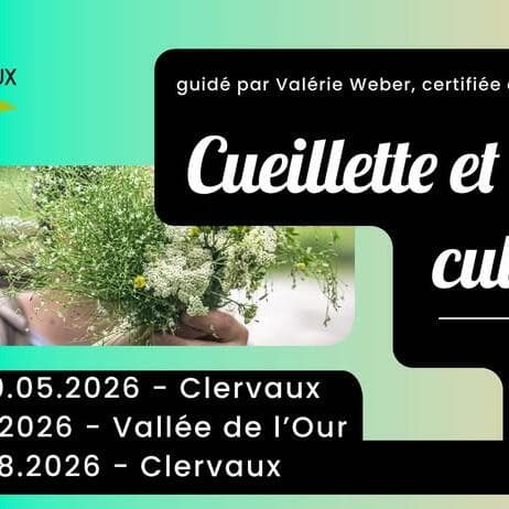 Clervaux Letz Breathe - Wild Plant Foraging and Culinary Workshop
