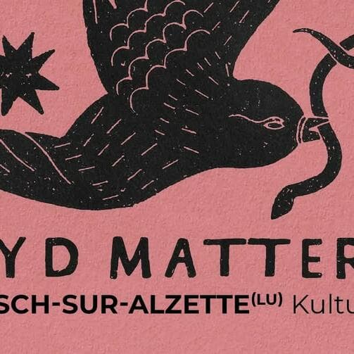 Syd Matters à la Kulturfabrik