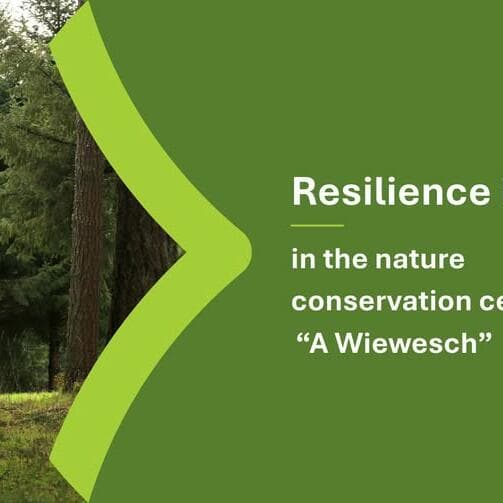 Résilience dans la nature