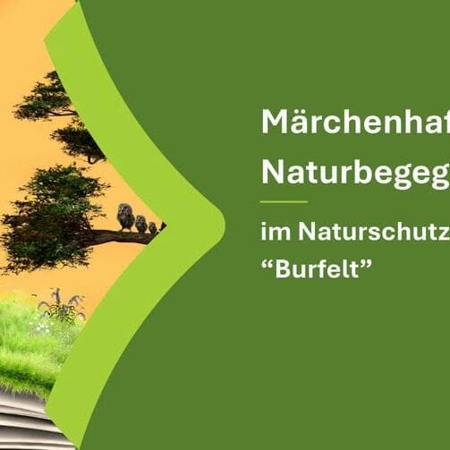 Fairytale Nature Encounter
