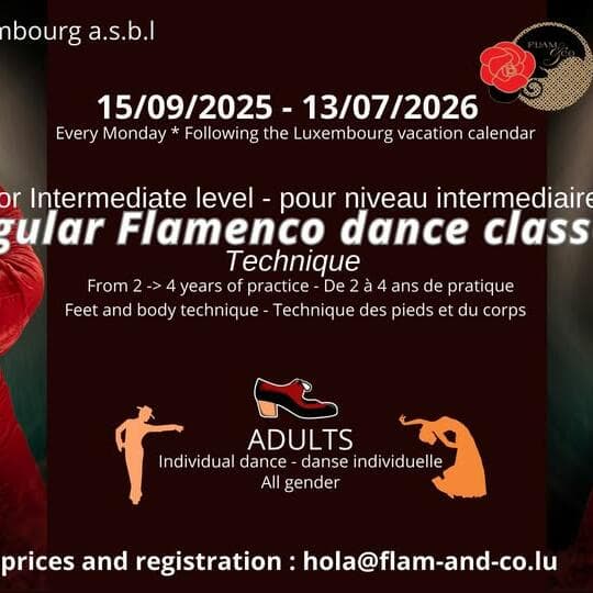 Flamenco for Adults: INTERMEDIATE 1 : technique (Every Monday)