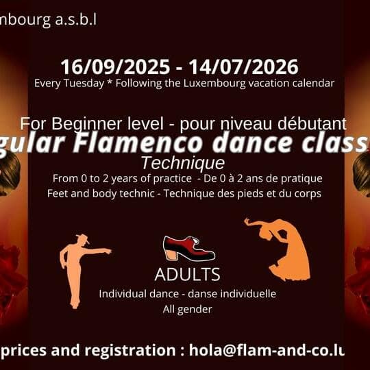 Flamenco for Adults: Beginner - Technique (Every Tuesday)