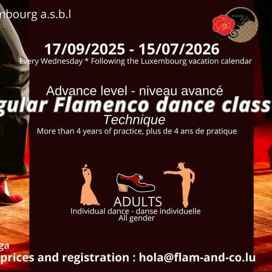 Flamenco for adults: advanced/avance: technique (every Wednesday)