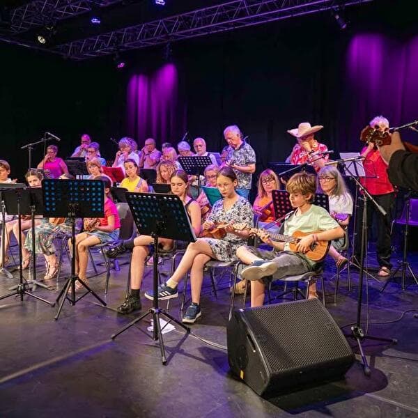 Audition of Patrick HANNAK's Harmonica and Ukulele Classes