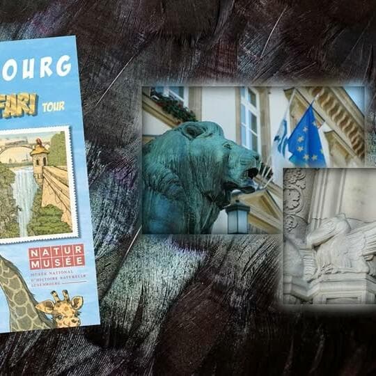 Luxembourg City Safari Tour - Experience Wild Animals in Luxembourg