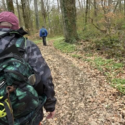 Promenade guidée – Les bois de Guerlange sous les couleurs de l'été