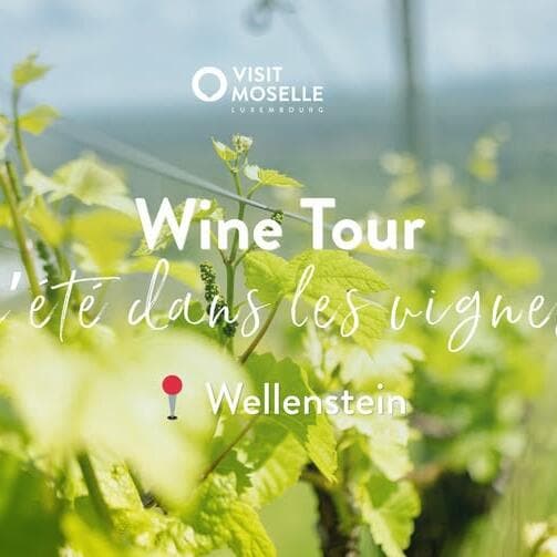 Afterwork Wine Tour - Summer in the Vineyards