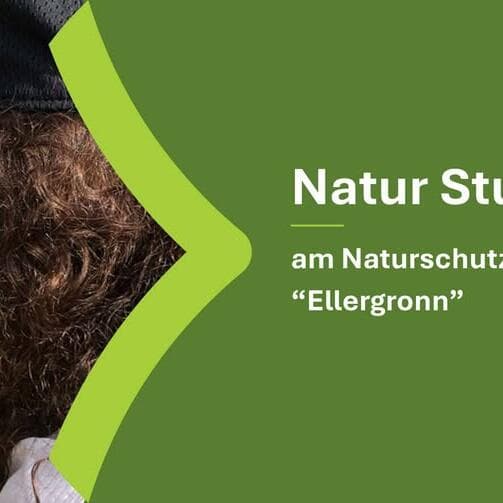 Études de la nature