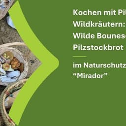 Cooking with mushrooms and wild herbs