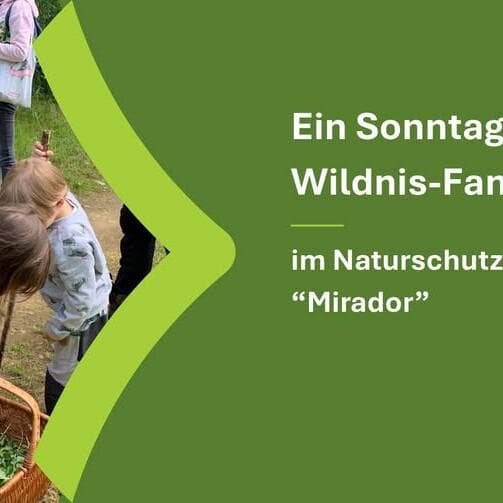 Une journée en famille dans la nature sauvage