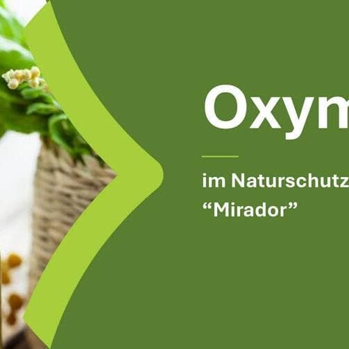 Oxymel