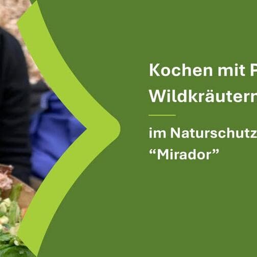 Cuisiner avec des champignons et des herbes sauvages en octobre