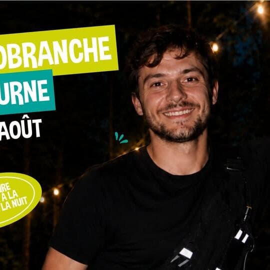 Accrobranche sous les étoiles