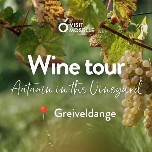 Wine Tour - Autumn in the Vineyard - 13/09