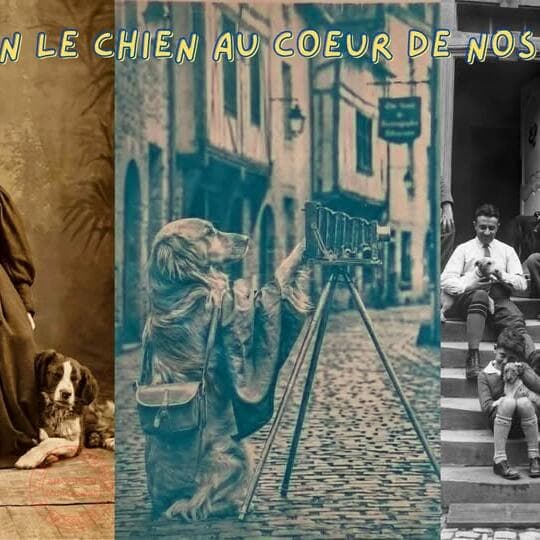 Exhibition The dog at the heart of our lives