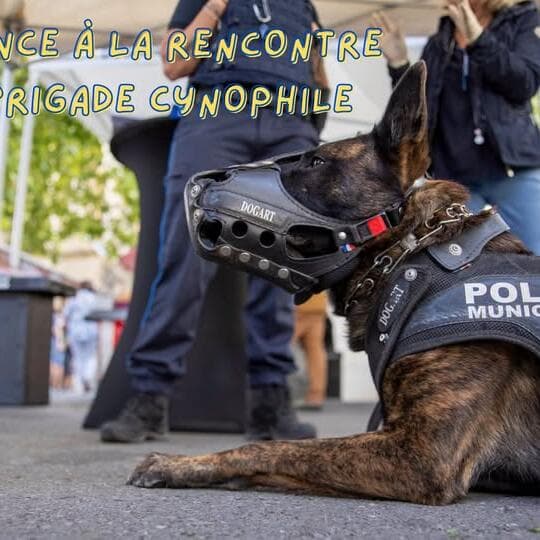 Talk with the Canine Unit