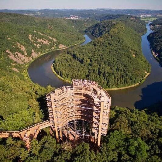 Saar Loop + treetop path