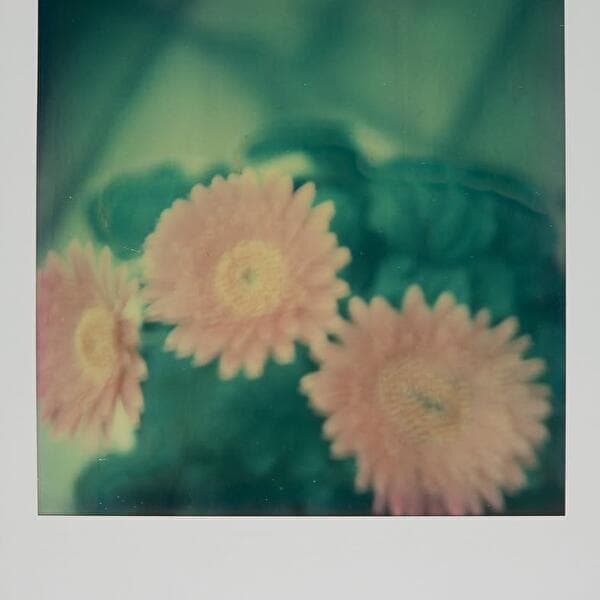 Youth Corner Photo | Ages 6–12 | Capturing the Moment with a Polaroid