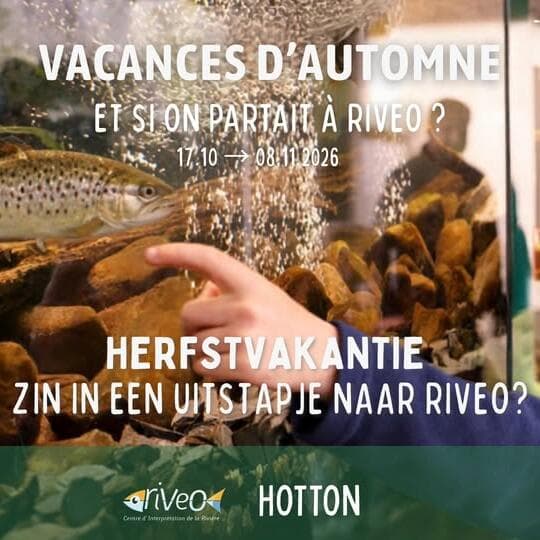Vacances d’automne en famille à RIVEO – Aquariums, minigolf et surprises !