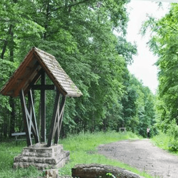 Messe chez Ronnebeemchen (Bousserbësch)
