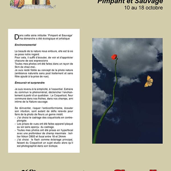 Pimpant et Sauvage