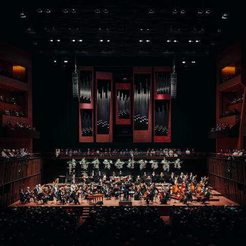 New Year's Concert