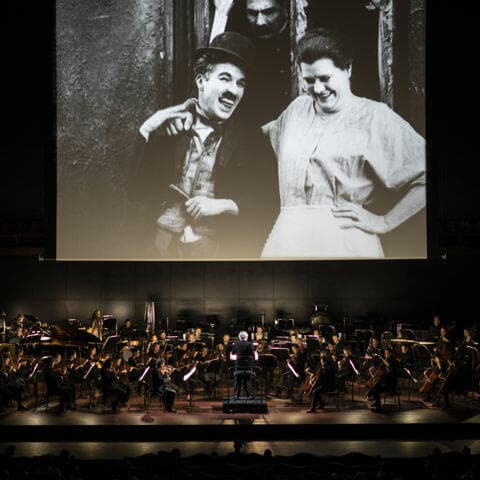 Live Cinema: Family Edition