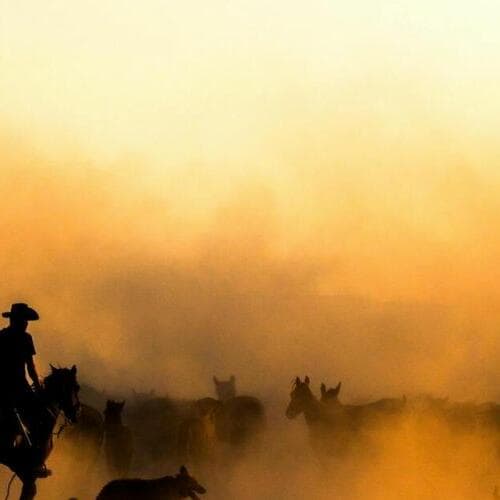 Tuffi - Junior Workshop (4-6), A Day in the Wild West