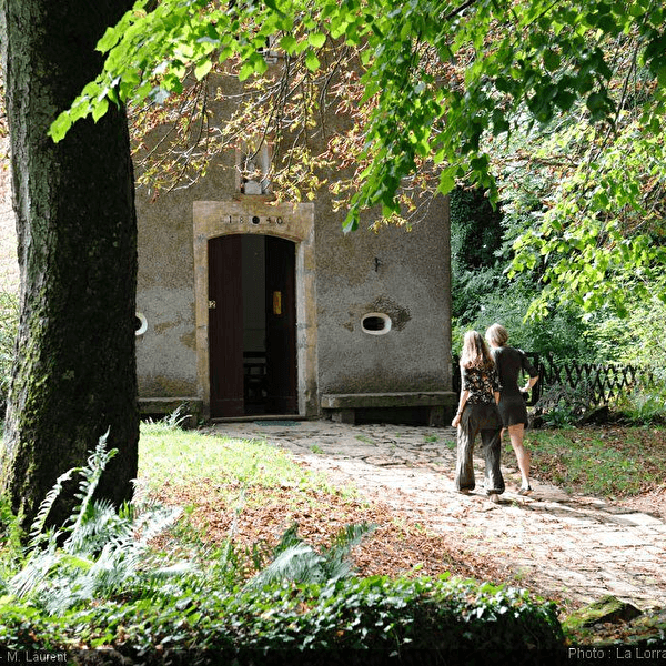 Guided Walk: Torgny and its Vineyard