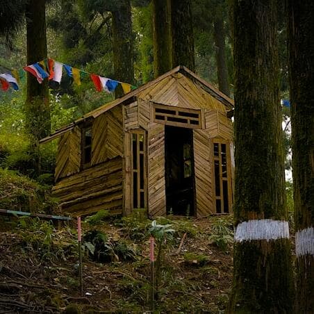 Nature Day - Your Cabin in the Forest