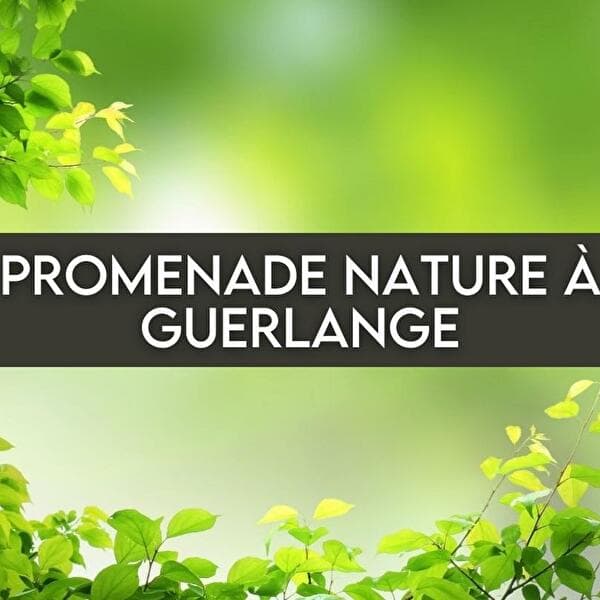 Promenade nature à Guerlange