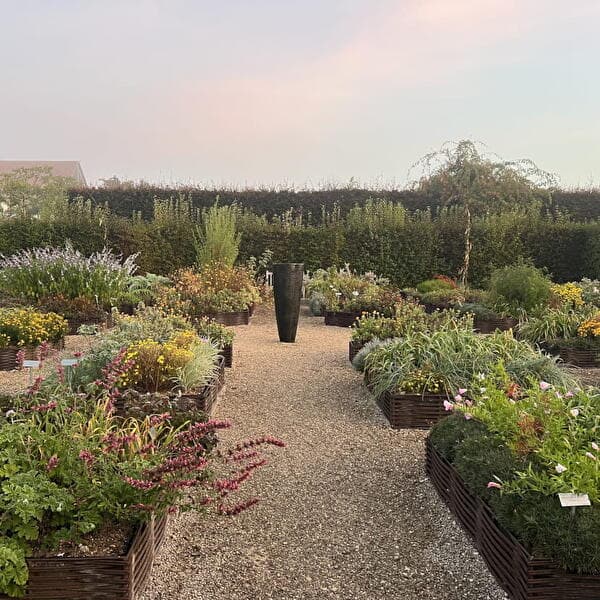 Stage : Un jardin beau à croquer !