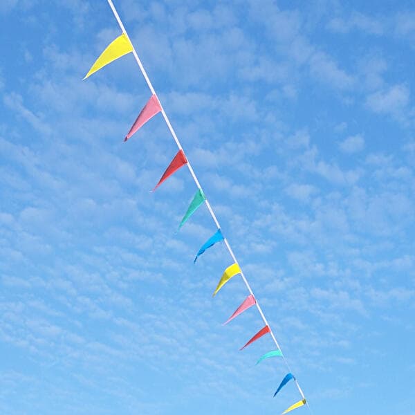 Manderen en fête