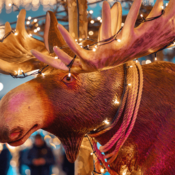 Christmas market