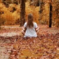 Forest Bathing and Sylvotherapy – Immersive Experience