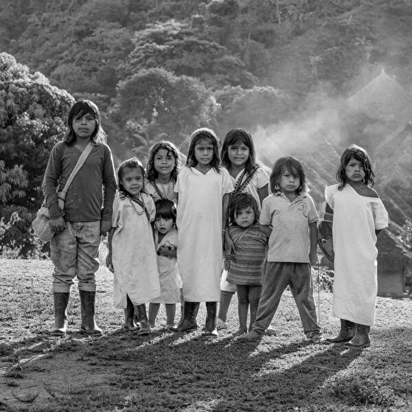 Sierra Nevada Natives
