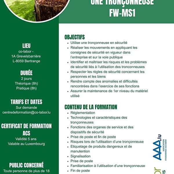 Formation Tronçonneuse