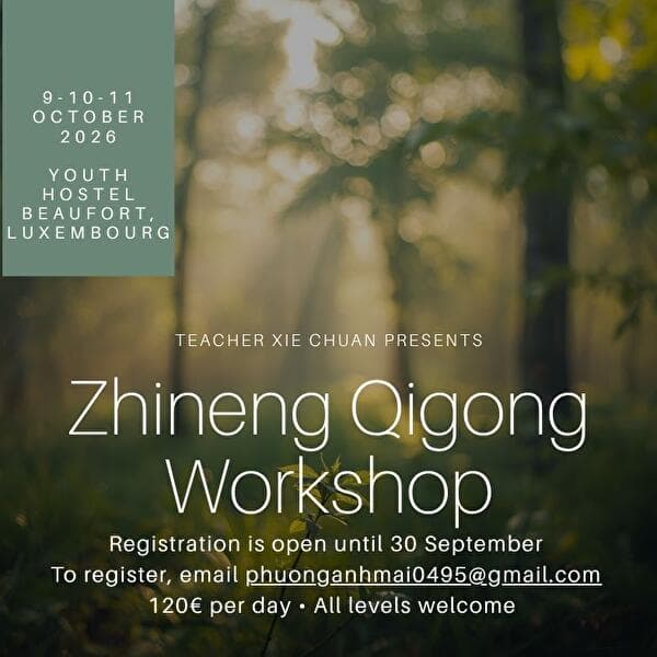 Zhineng Qigong - Healing Workshop