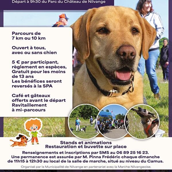 Canine walk