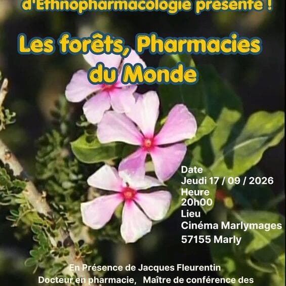 Cinéma - Les forêts, Pharmacie du Monde