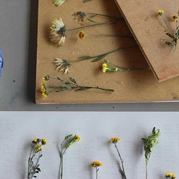 Fabriquer une presse à fleurs