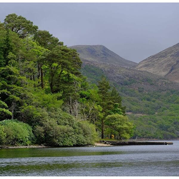 Image presentation: Scottish landscapes