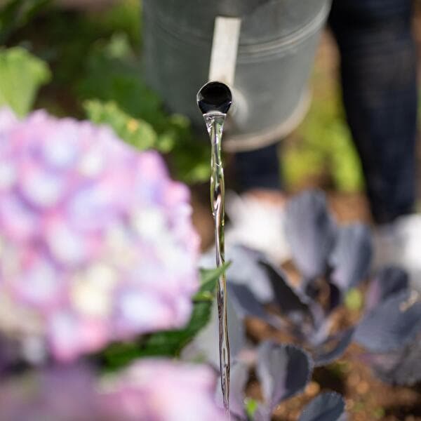 The Gardeners' Walk